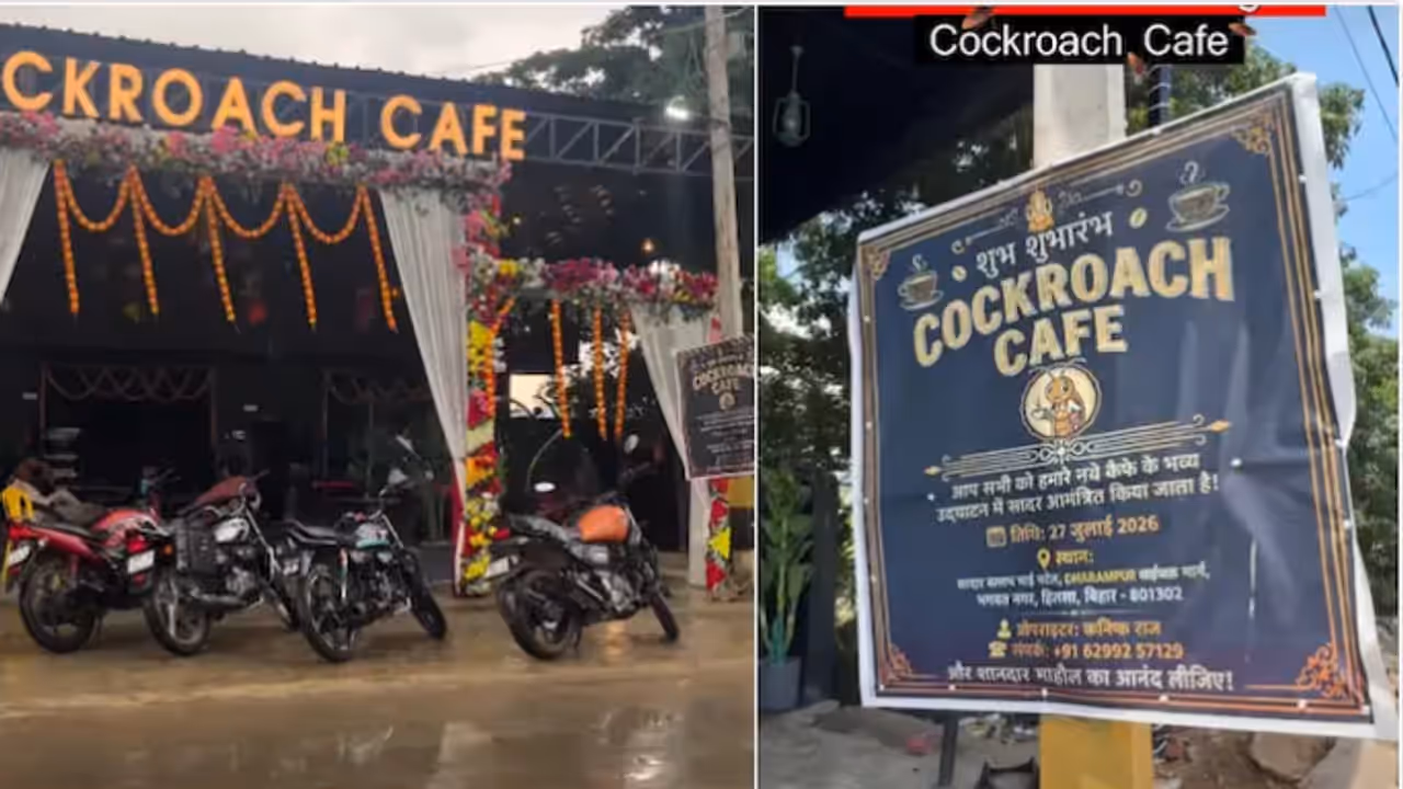 Bihar’s ‘Cockroach Cafe’. Bihar’s ‘Cockroach Cafe’.
