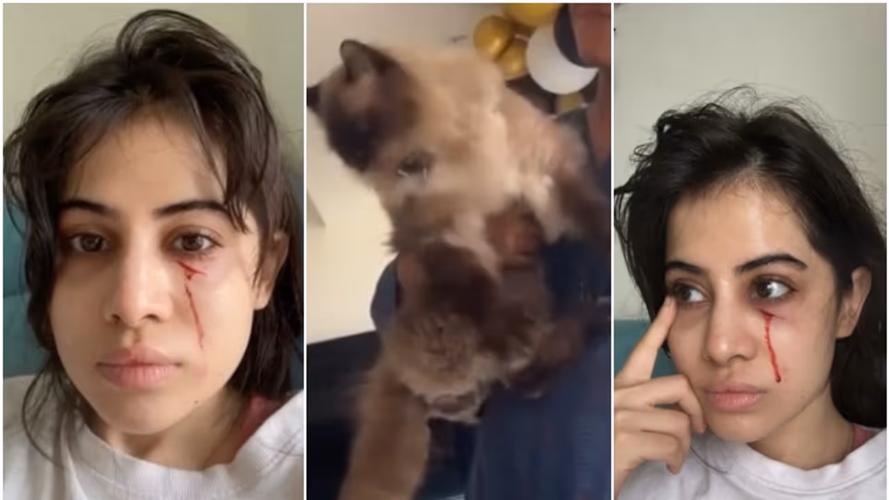 Urfi Javed Urfi Javed