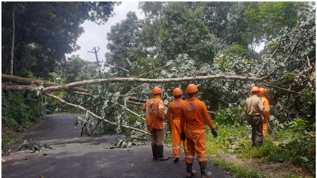 tree fell on electric line