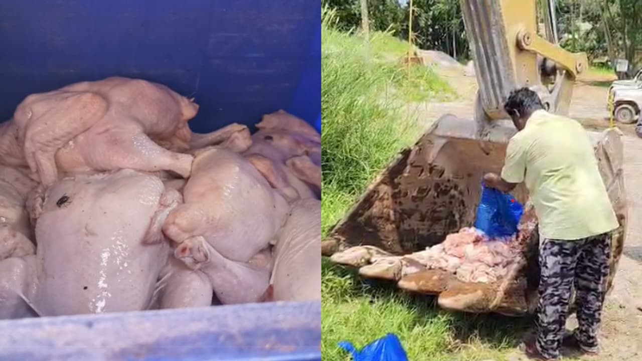 old stock chicken old stock chicken