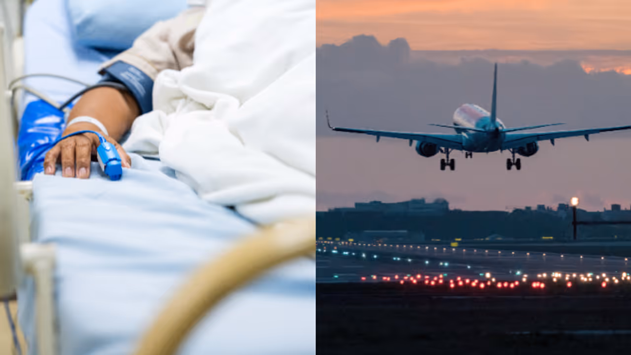 repatriation repatriation