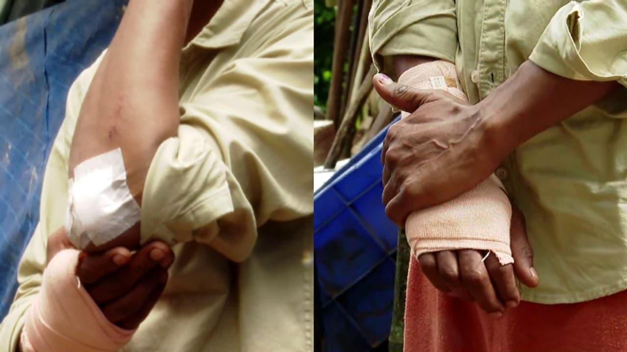 Wild elephant attack Wild elephant attack