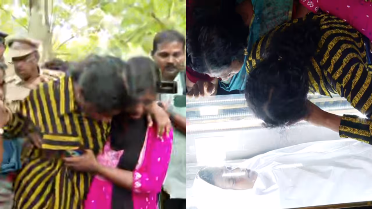 mithun body mithun body