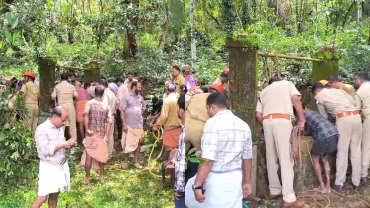 women jumped into the well women jumped into the well