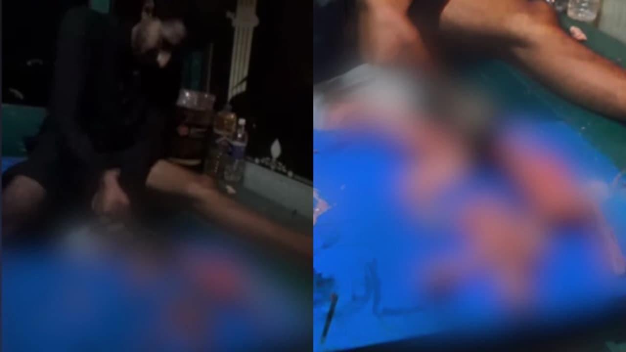 palakkad cat killer palakkad cat killer