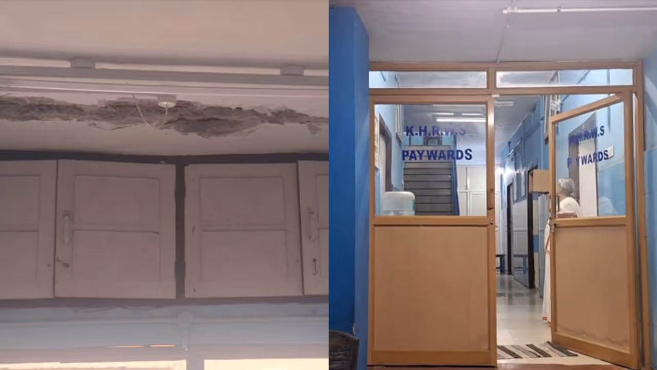 perumbavur taluk hospital perumbavur taluk hospital