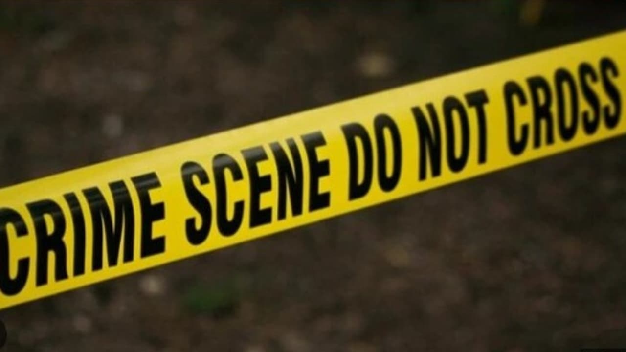 crime file crime file