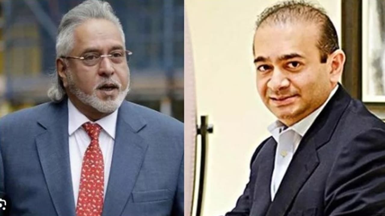 malya modi malya modi