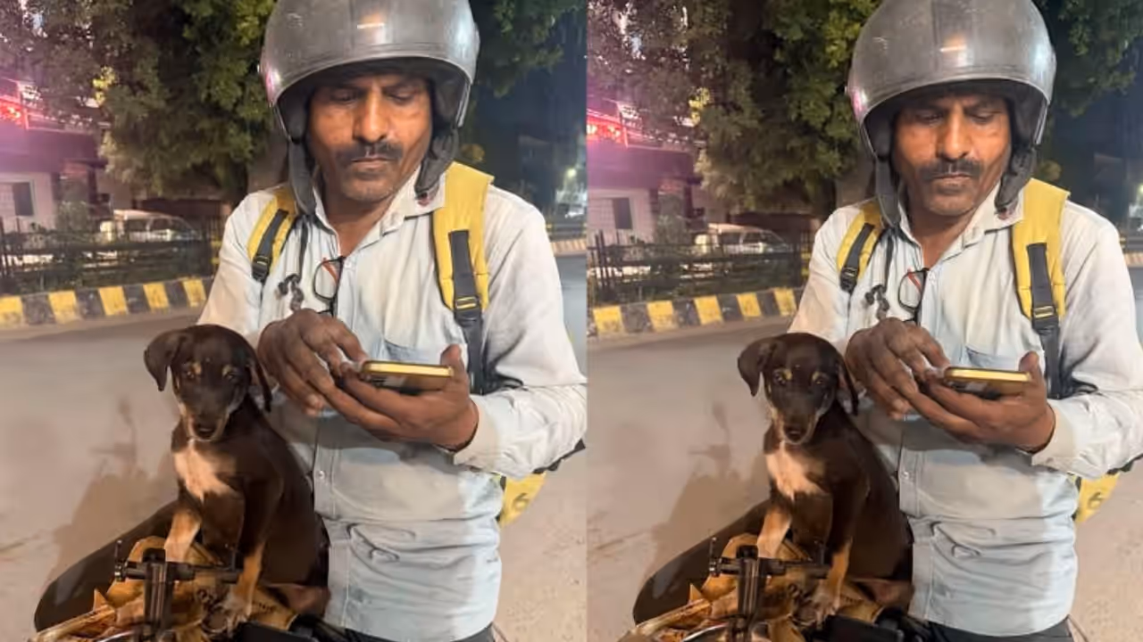 Mumbai Blinkit Delivery Partner Rescues Injured Puppy, Now Takes It Along On Delivery Runs Mumbai Blinkit Delivery Partner Rescues Injured Puppy, Now Takes It Along On Delivery Runs