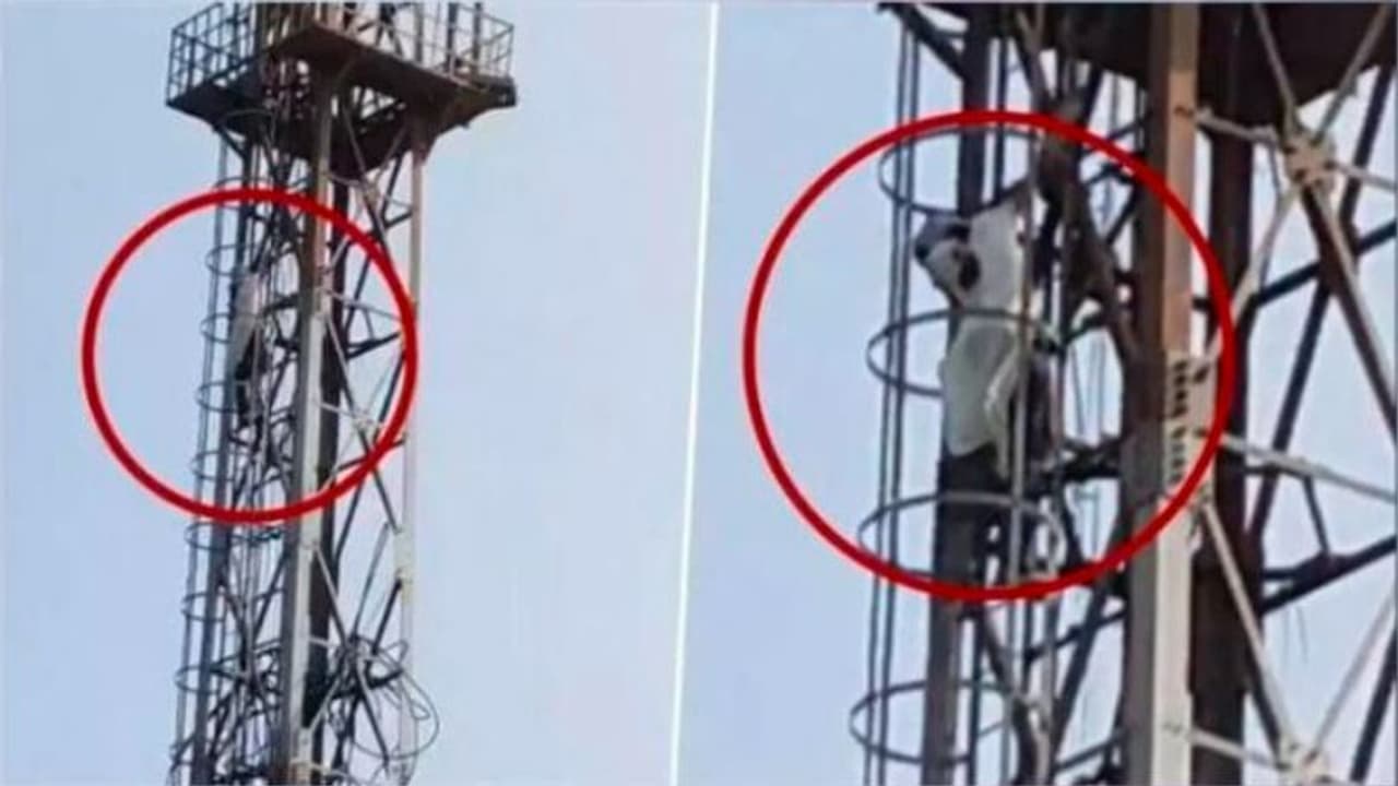 Girl Climbs mobile tower Girl Climbs mobile tower