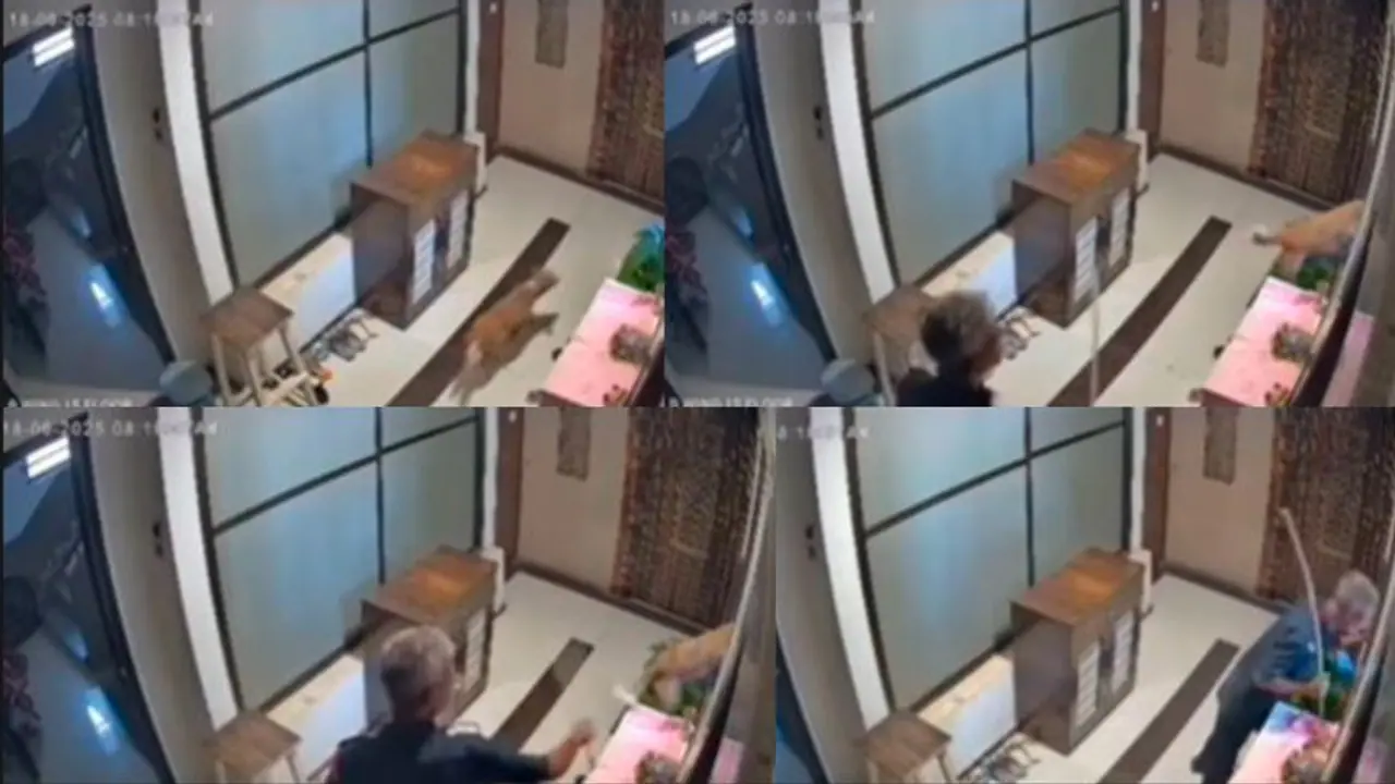 Security Guard Booked for Throwing Dog out of Window