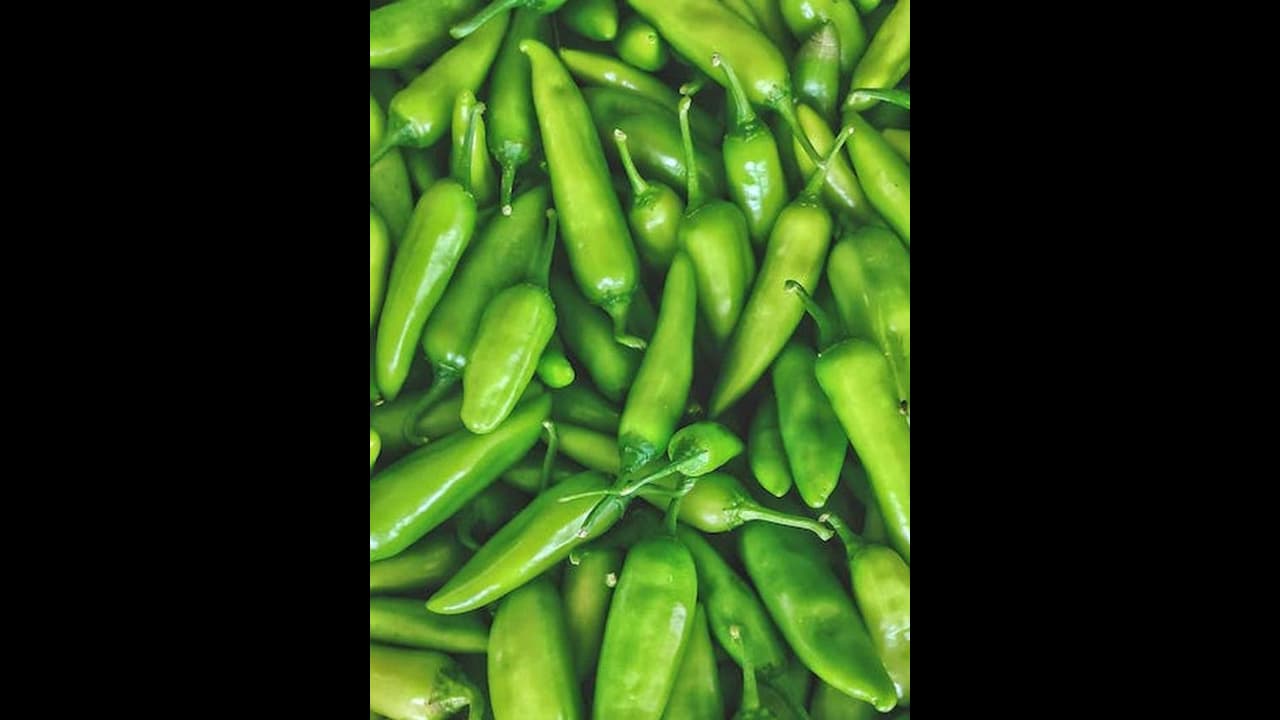 Chilies Chilies