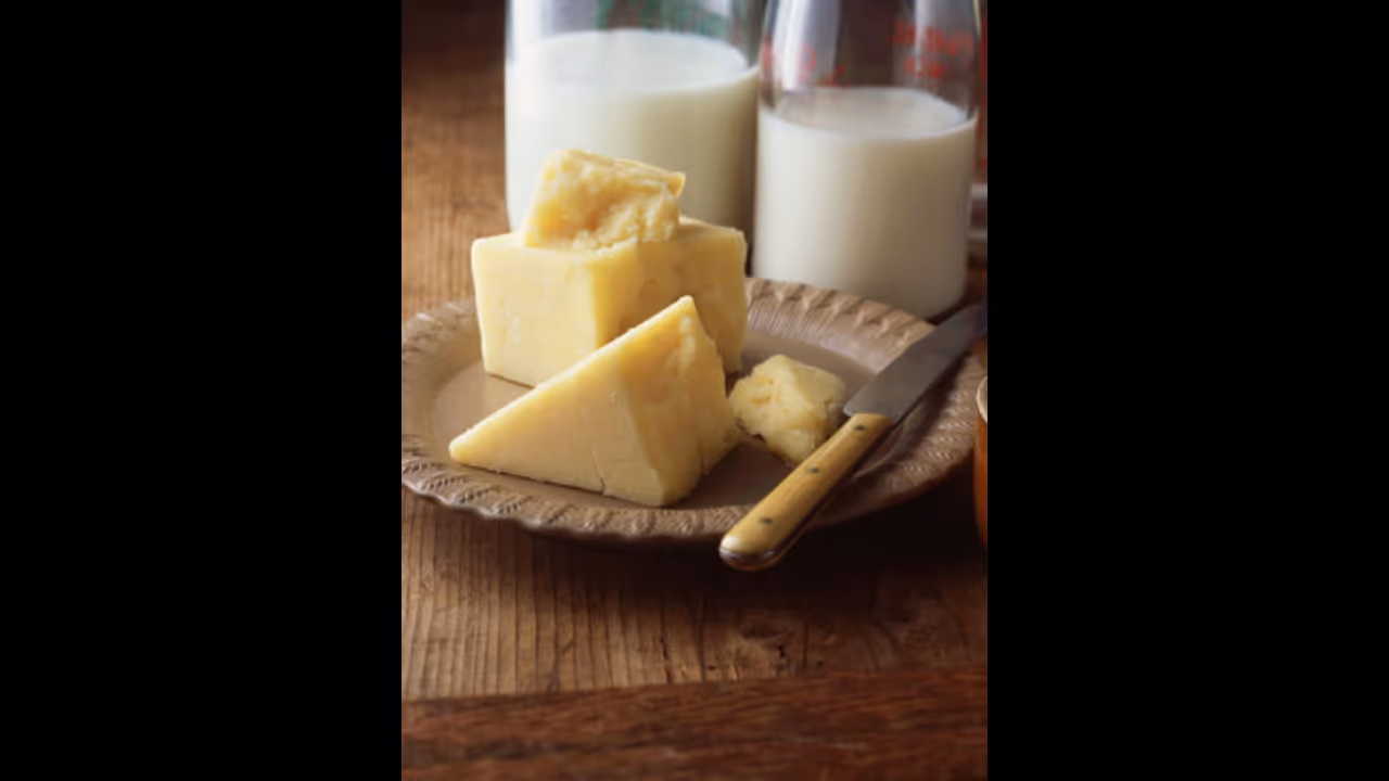 dairy products dairy products