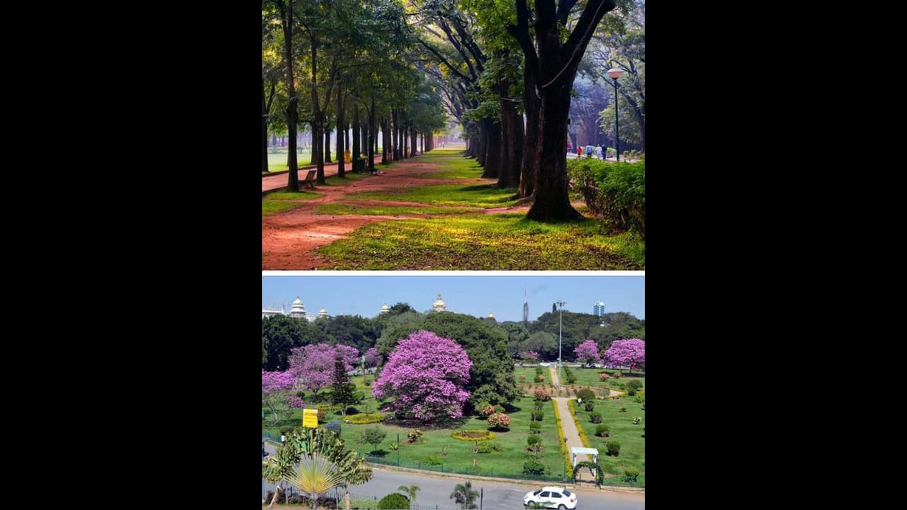 Cubbon Park Cubbon Park