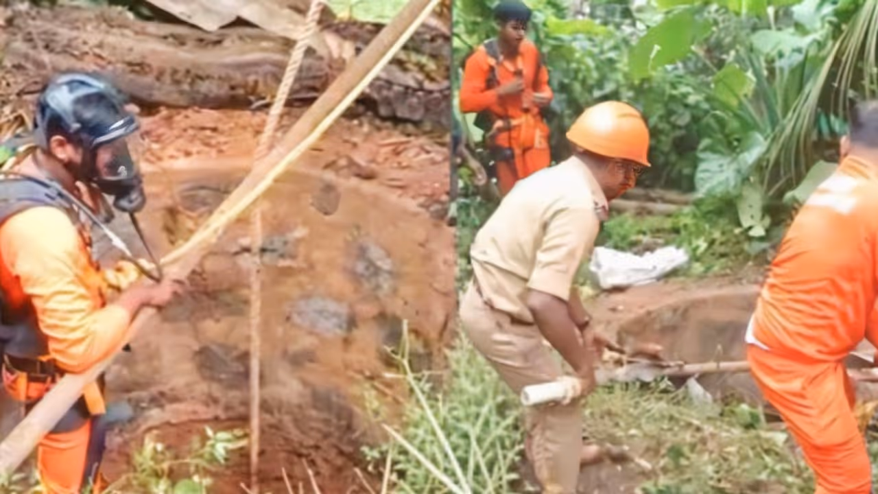 cow rescued by fire force