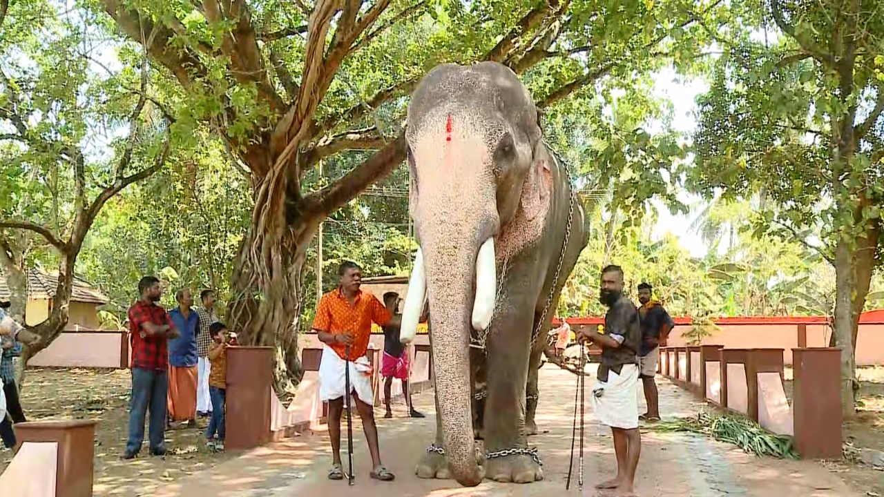 Thechikottukavu Ramachandran Thechikottukavu Ramachandran