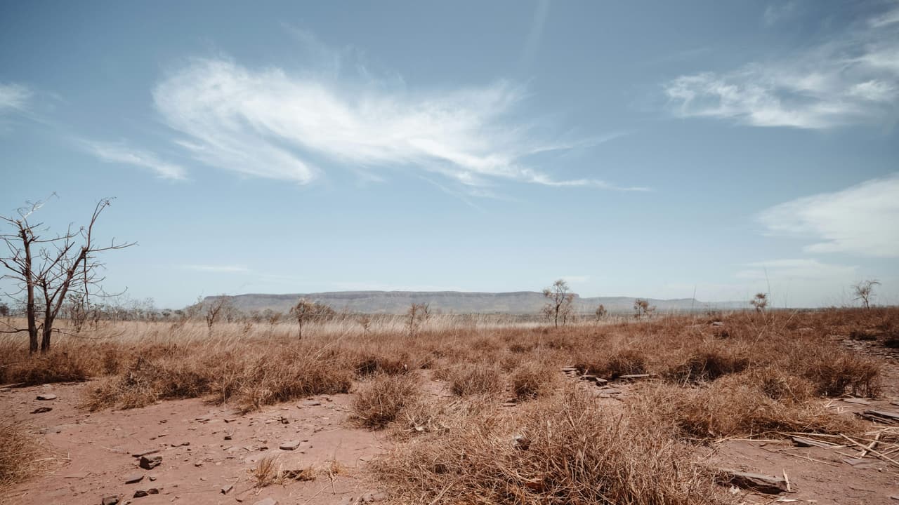 Drought Drought