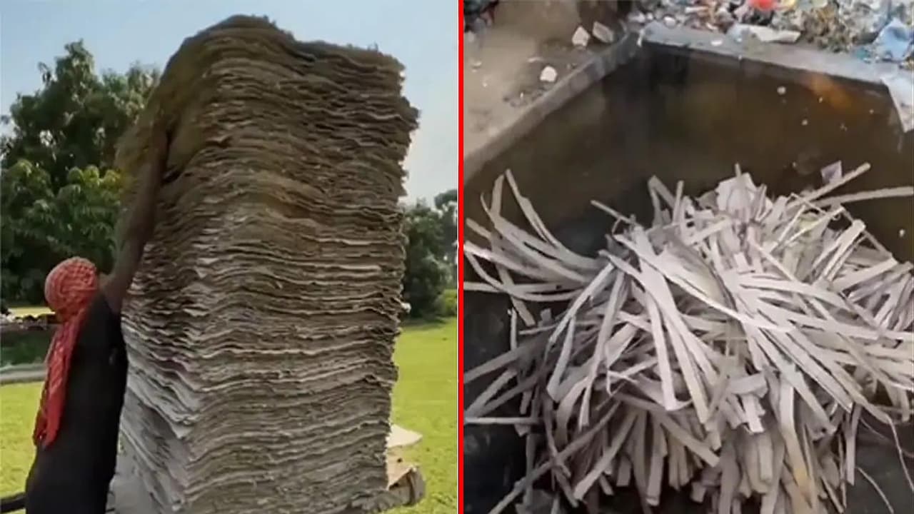 how paper is made harsh goenka shares video how paper is made harsh goenka shares video