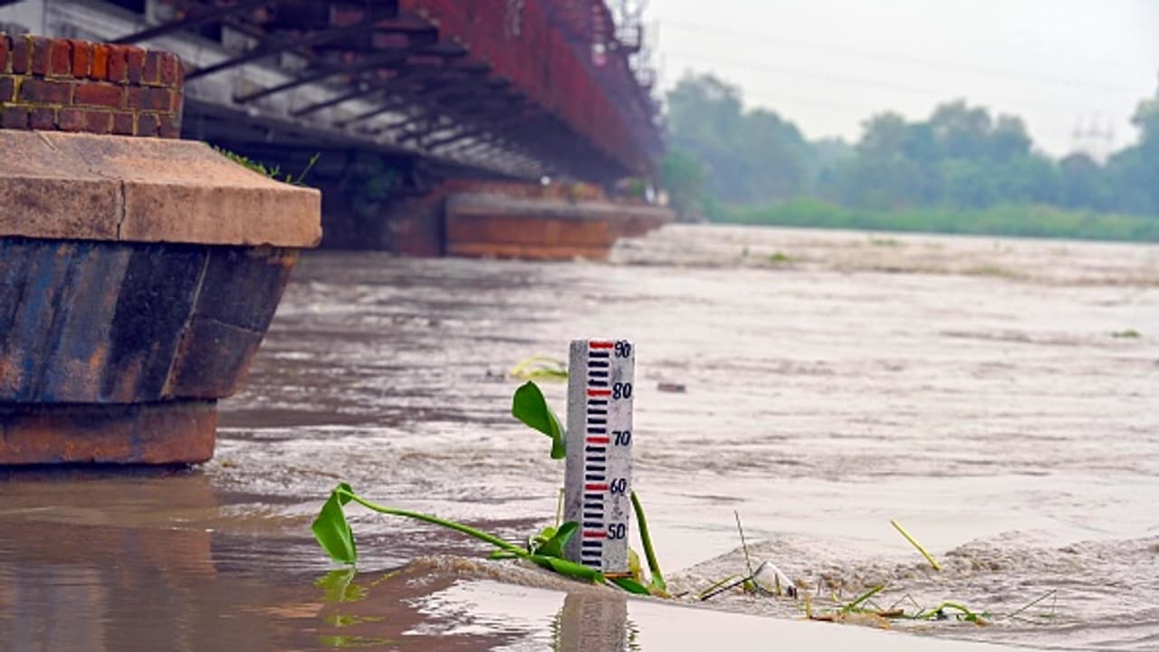 delhi folld update army navy working To stop the flow of Yamuna water 