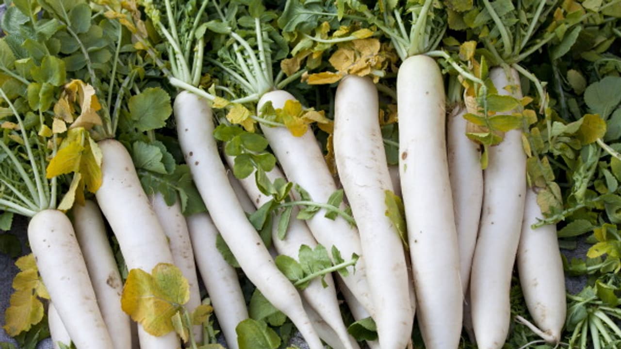 Winter Superfood Radish know about Benefits of This Vegetable bsm Winter Superfood Radish know about Benefits of This Vegetable bsm
