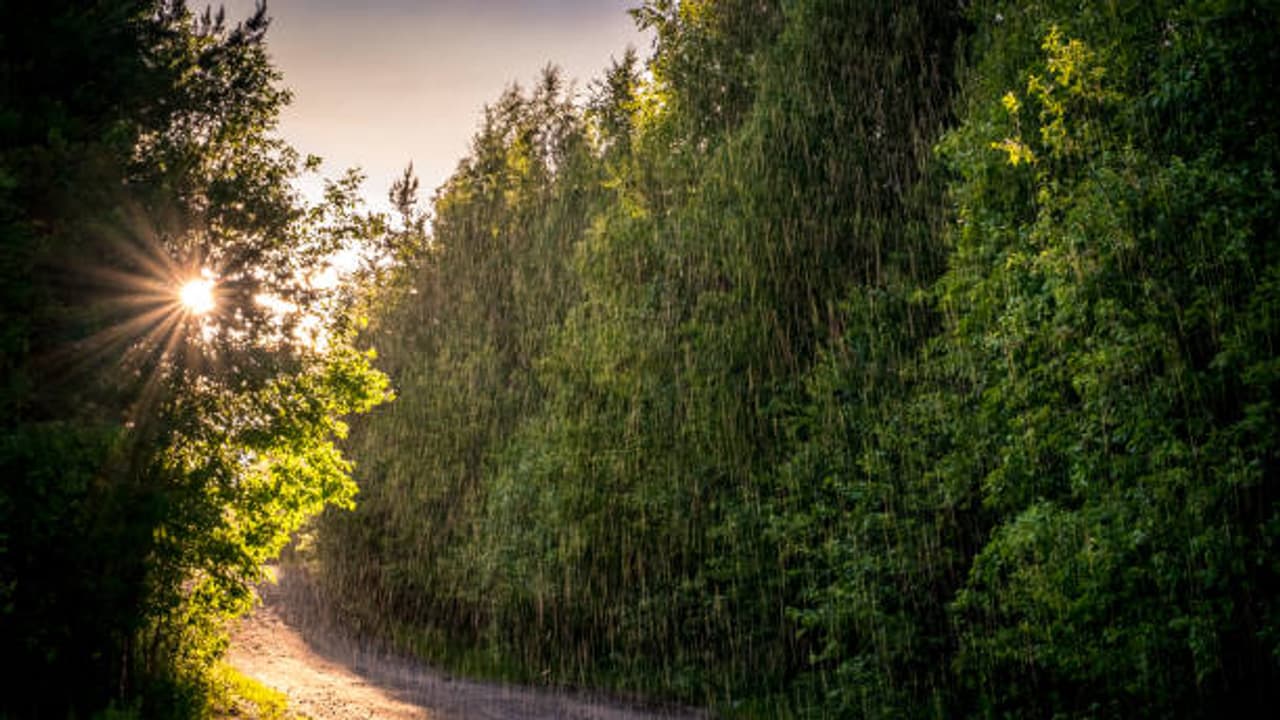 sun rain north bengal kolkata weather