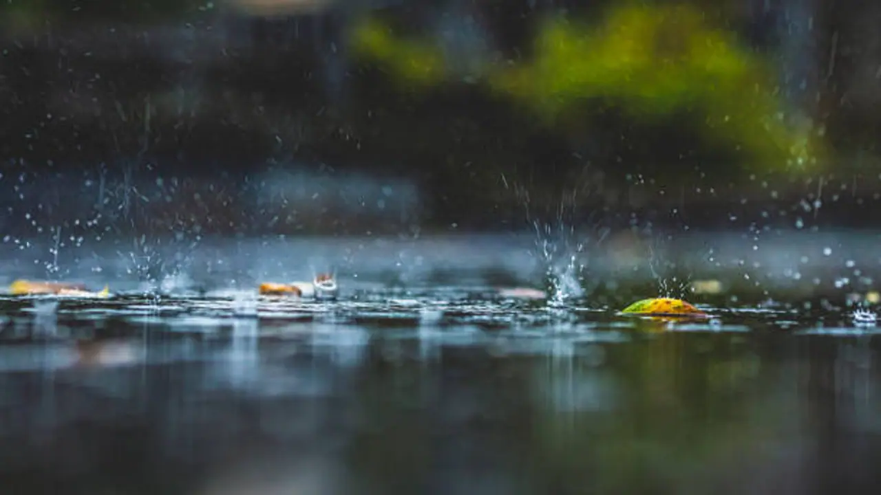 rain winter kolkata north bengal rain winter kolkata north bengal