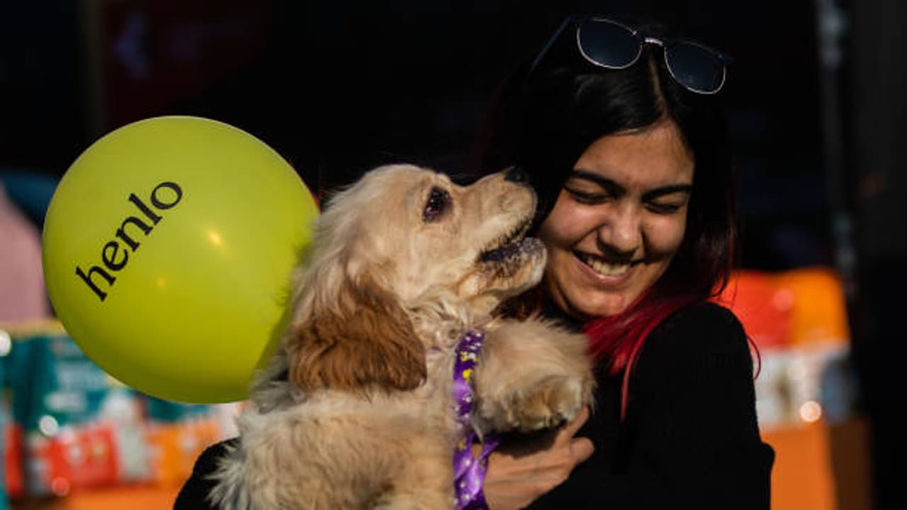 Kissing Pets Kissing Pets
