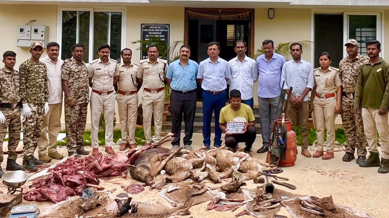 Bannerghatta deer hunting