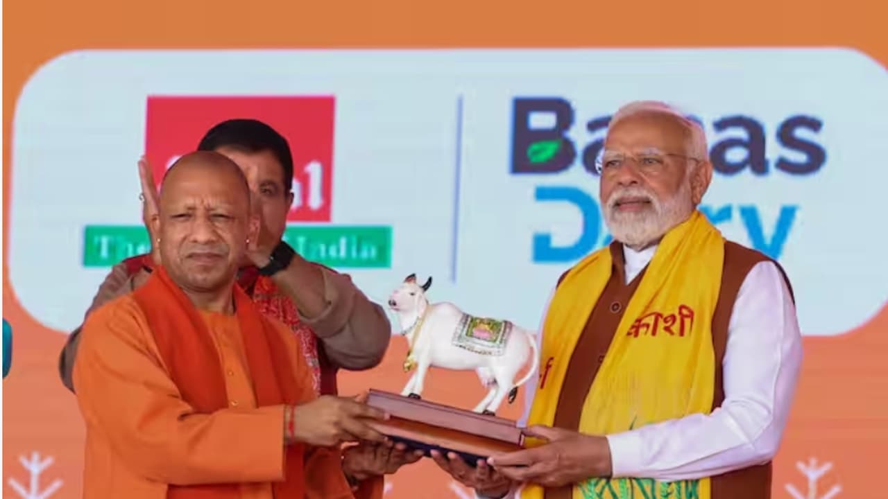 Modi Yogi Modi Yogi