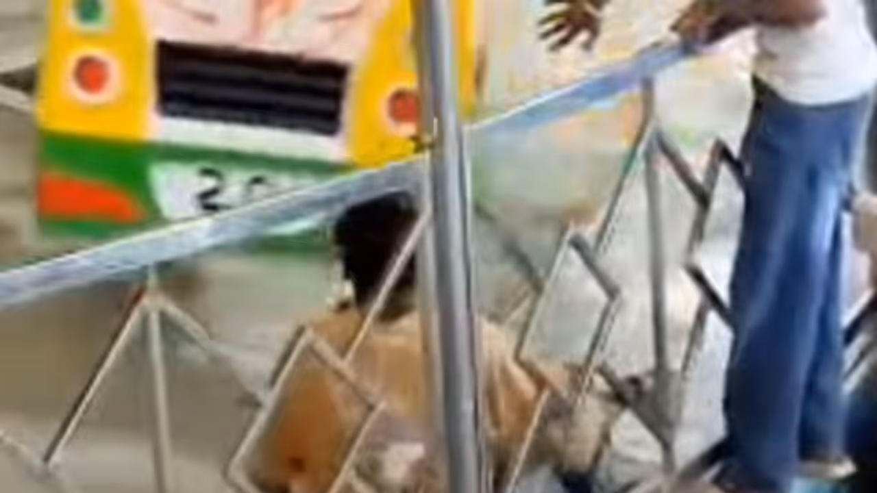 People Fall From Moving Break Dance Ride At Bihar Dussehra Fair People Fall From Moving Break Dance Ride At Bihar Dussehra Fair
