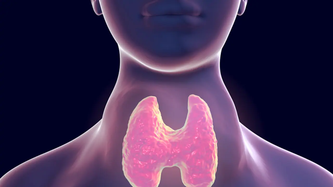 Thyroid Level Thyroid Level