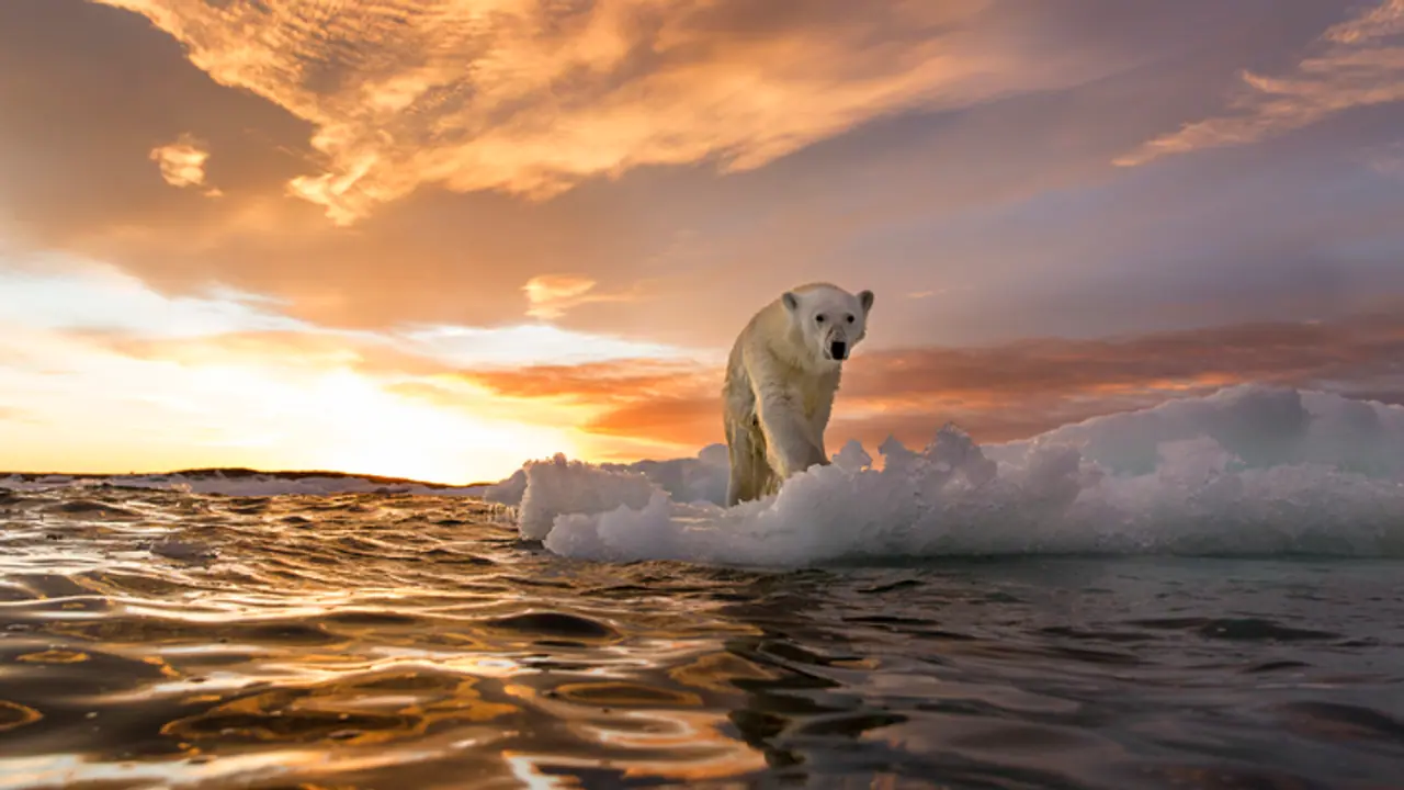 Global warming | Climate change