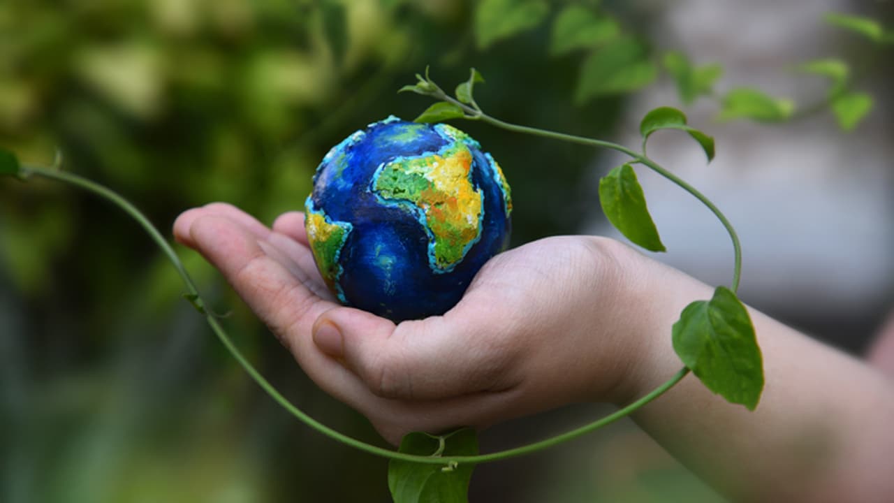 ICJ Issues Historic Opinion on Climate Change