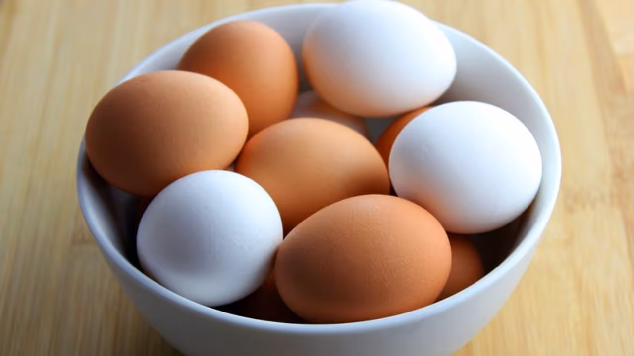 Eggoz Egg Controversy