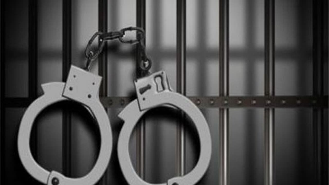 Delhi Police Crackdown on Illegal Immigrants: 71 Foreign Nationals Deported in May(Photo/ANI)