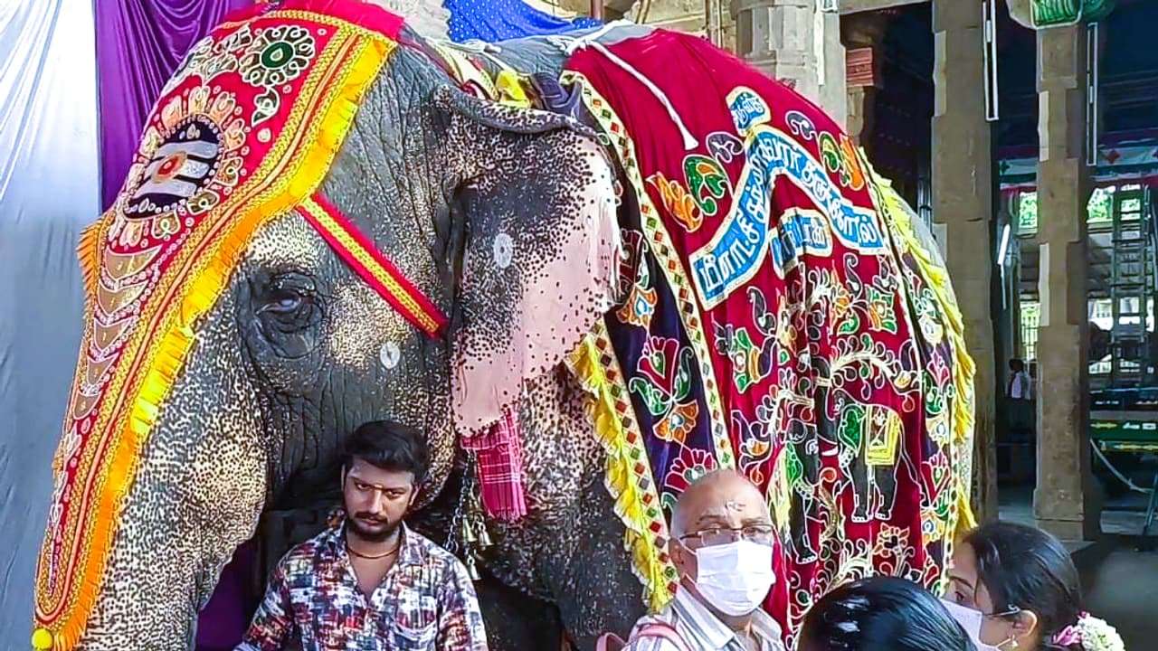 Goddess Meenakshi Amman temple, Goddess Meenakshi Amman temple,