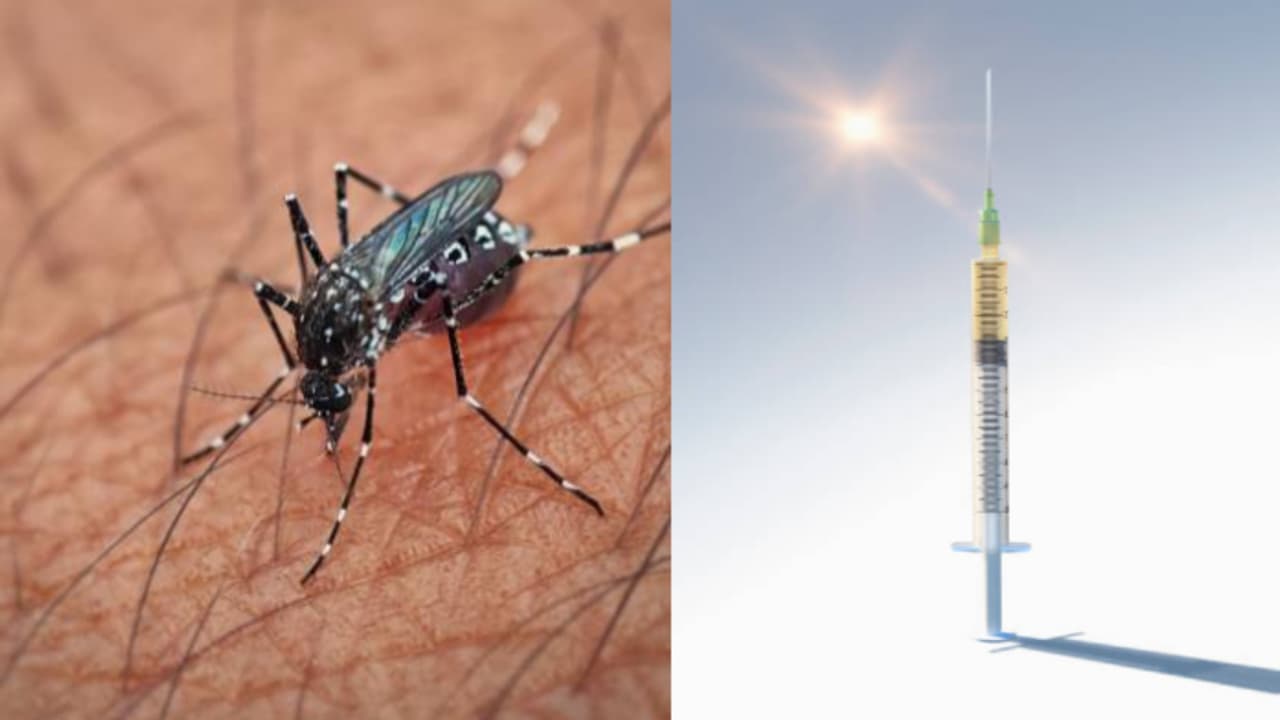 vaccine for chikungunya vaccine for chikungunya