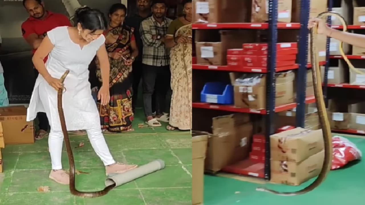 viral video viral video