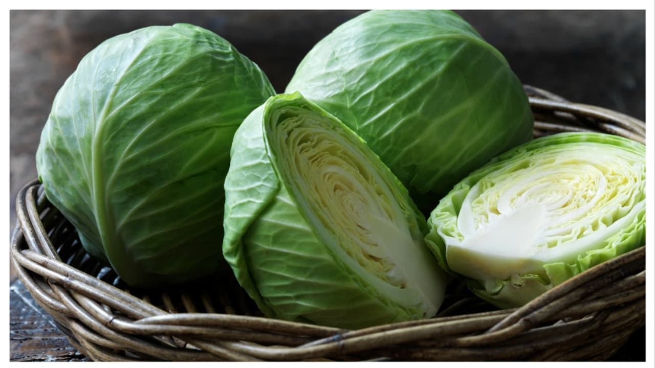 cabbage cabbage