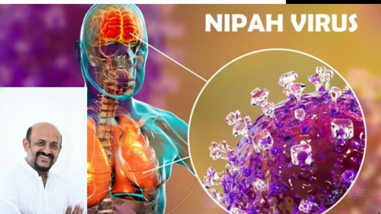 Nipah Nipah