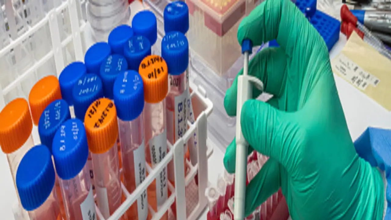 Air pollution may prevent Covid 19 vaccines from producing antibodies research claims 