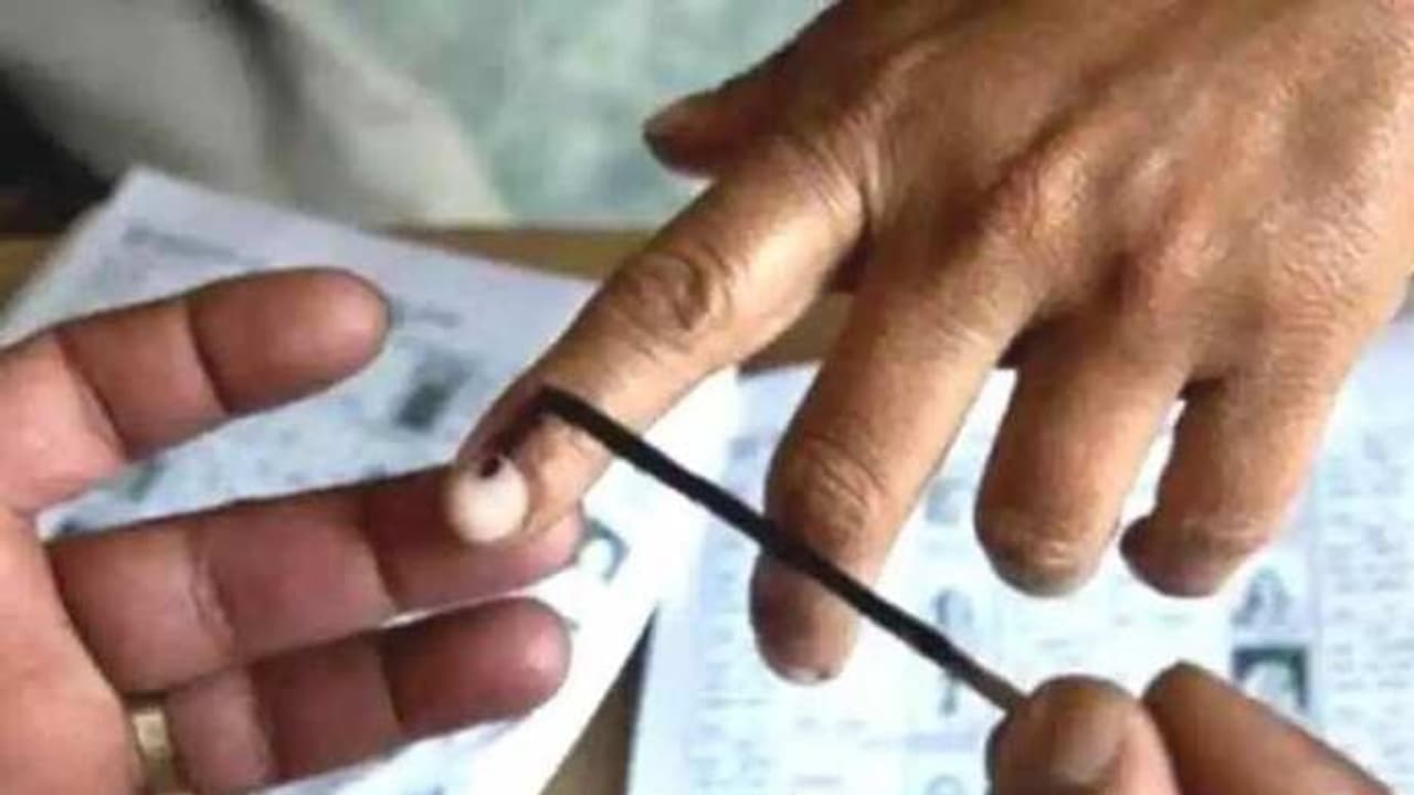 UP Nagar Nikay Chunav 2023 voting