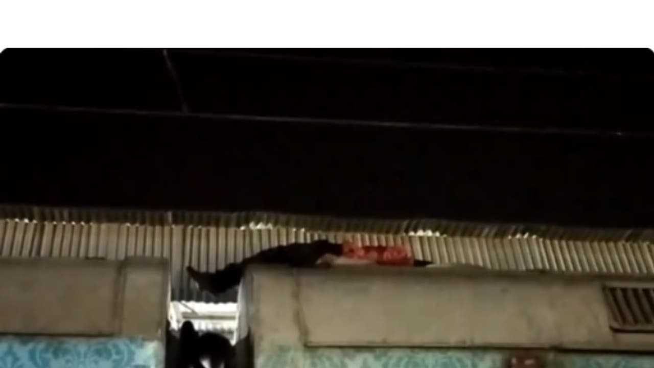 Man sleep in train roof video viral on social media Man sleep in train roof video viral on social media