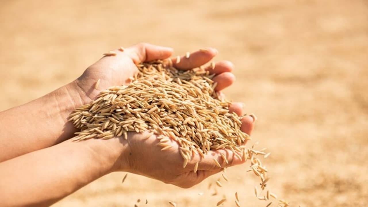 Know some unknown facts about Poyla Boisakh Know some unknown facts about Poyla Boisakh