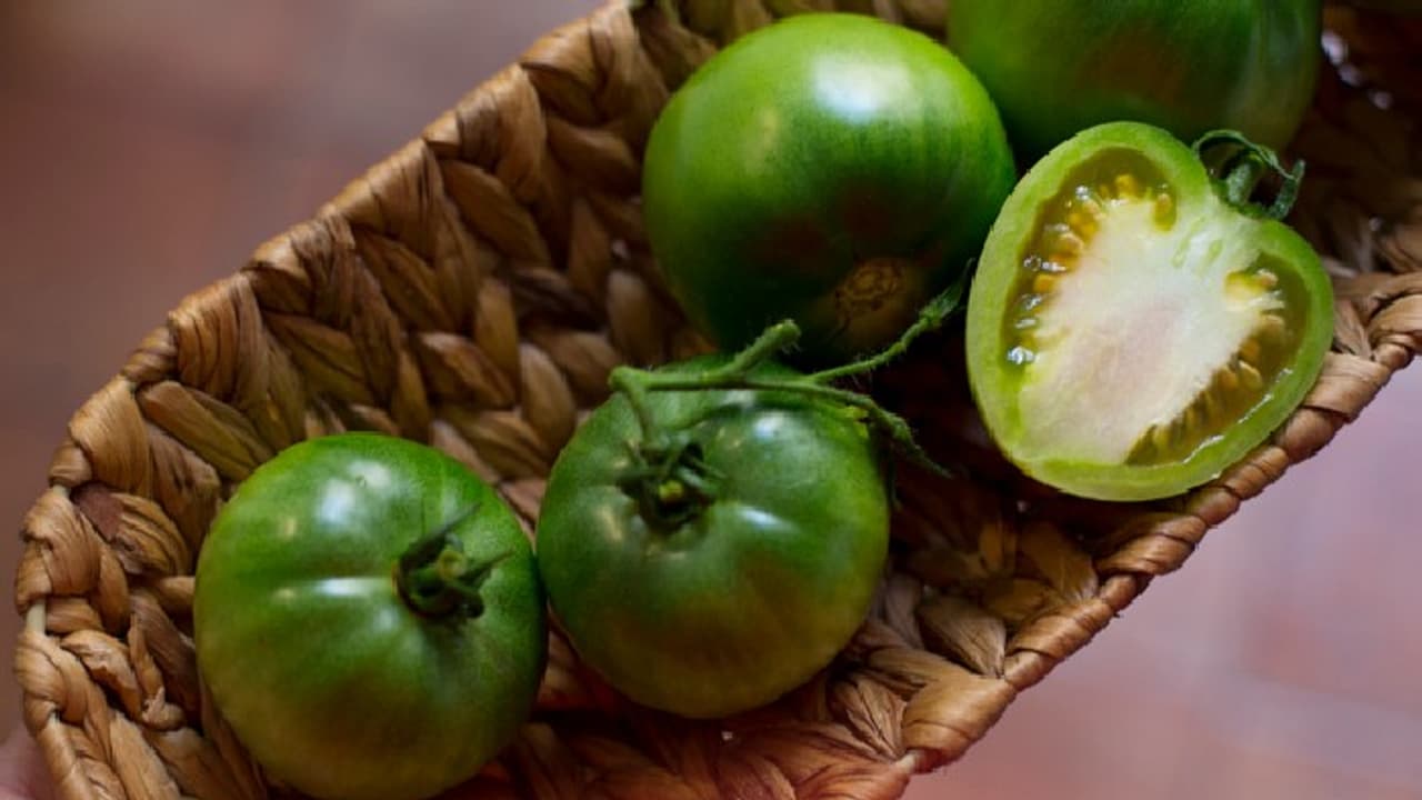 Green Tomato Green Tomato