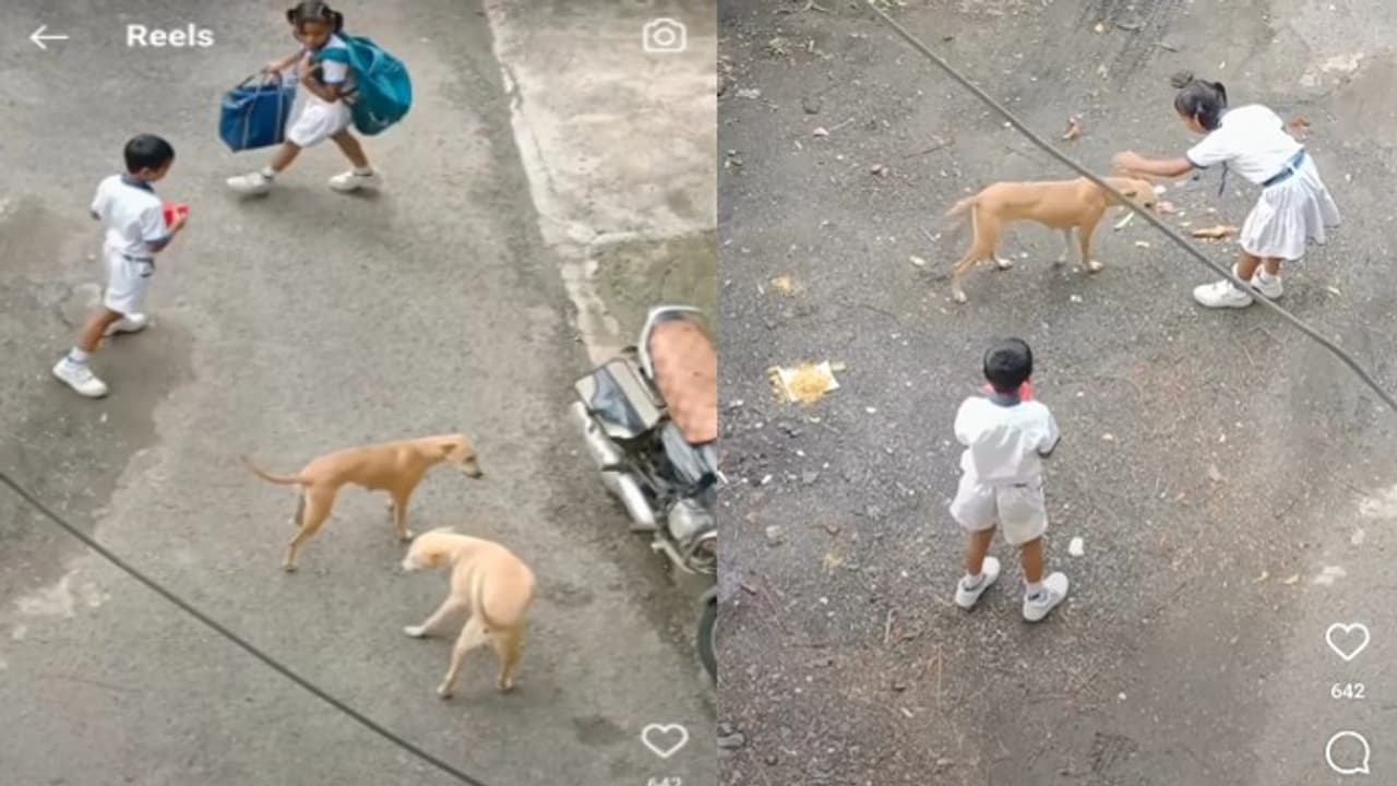 Lunch box donation Lunch box donation