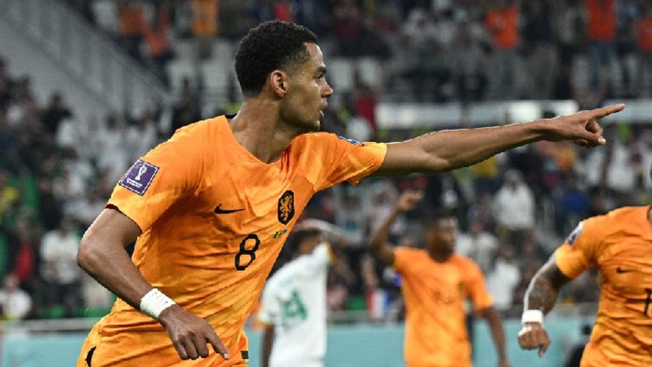 Cody Gakpo Cody Gakpo