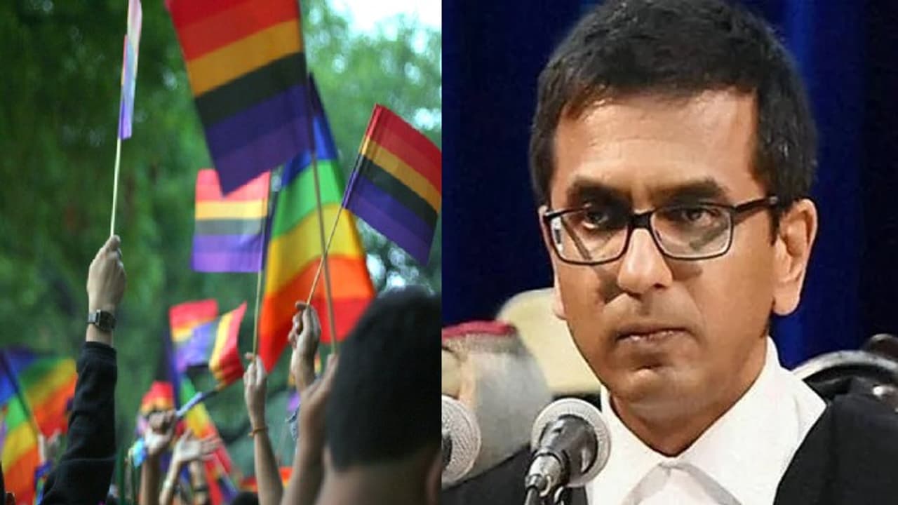 same sex marriage same sex marriage