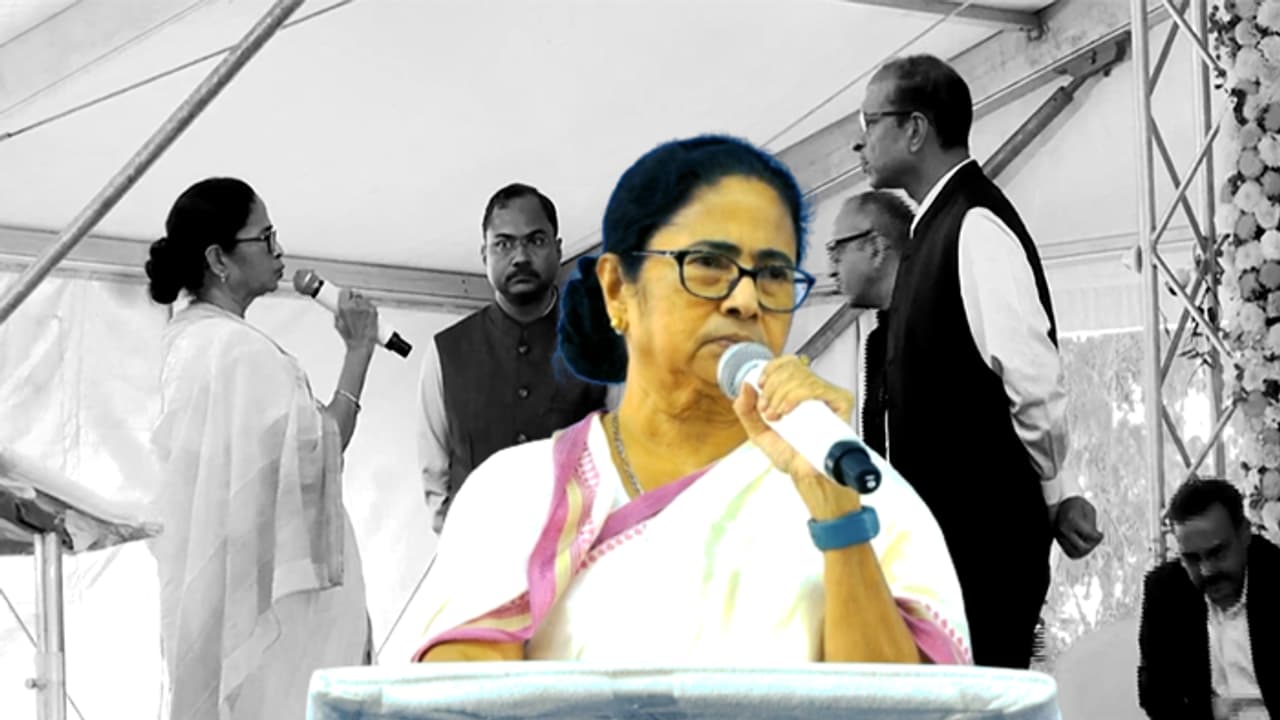 mamata