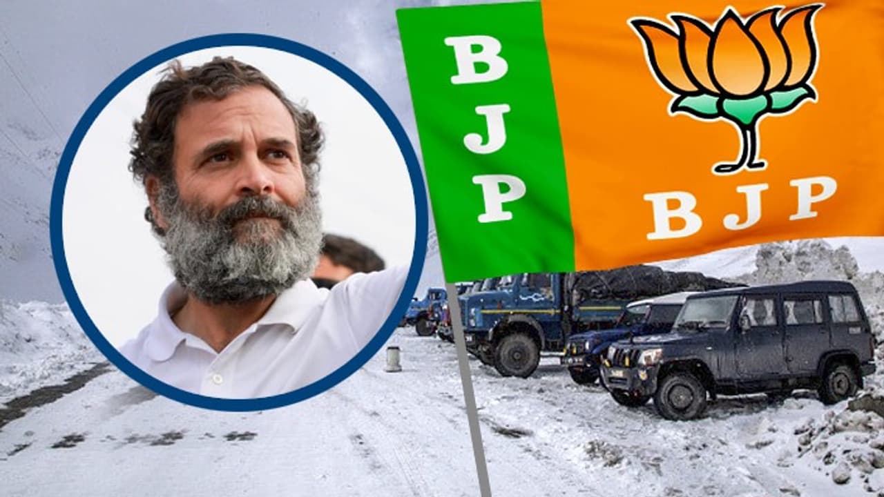 rahul gandhi bjp rahul gandhi bjp
